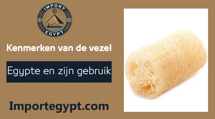 Egyptische vezel