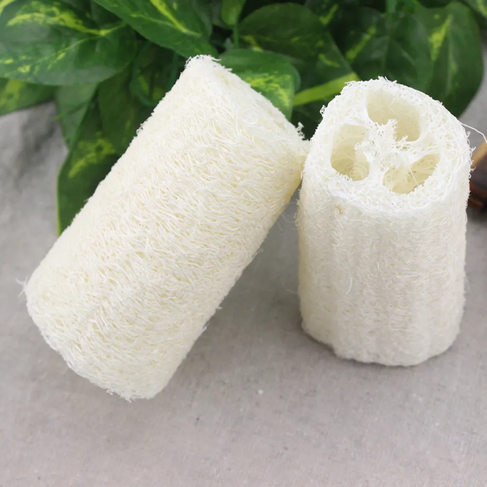 La Fibre égyptienne : Exportez L’excellence Avec Nous 2025 | منتجات مصرية عالية الجودة Exportation de fibres égyptiennes