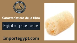 La fibra egipcia