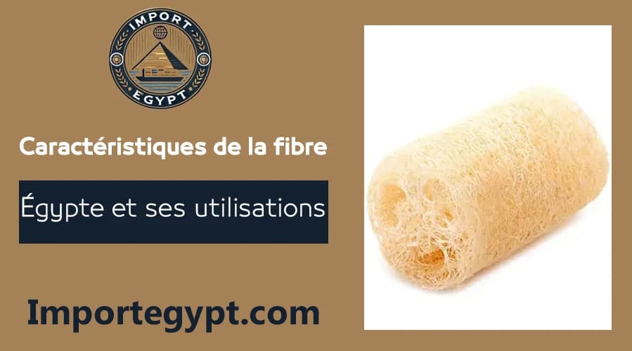 La fibre égyptienne