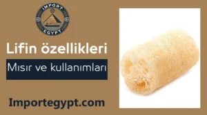 Mısır lifi
