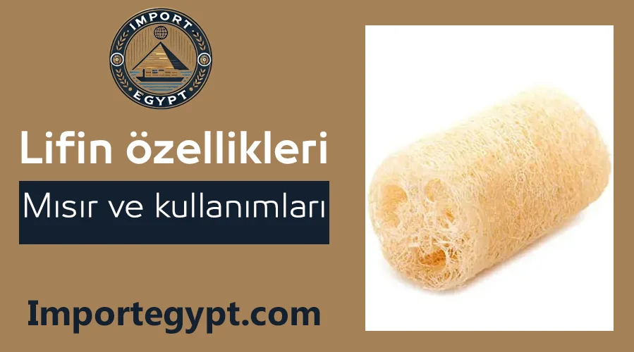 Mısır lifi