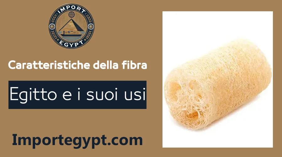 la fibra egiziana