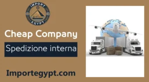 Compagnia di spedizione interna economica