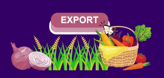Ontdek de beste groente en fruitexportbedrijven in Egypte | منتجات مصرية عالية الجودة Export van landbouwgewassen