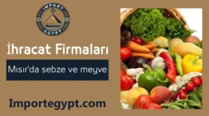 Mısırda sebze ve meyve ihracat şirketleri