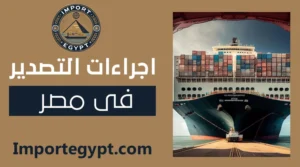 اجراءات التصدير فى مصر