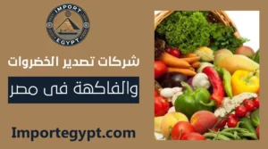 أفضل شركات تصدير الخضروات والفاكهة فى مصر