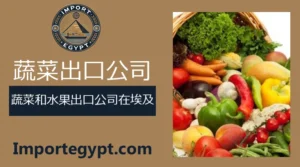 埃及蔬菜和水果出口公司