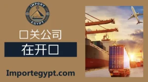 开罗的通关公司