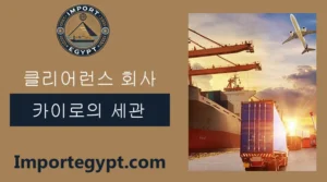 카이로의 통관 회사