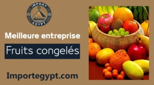 Meilleure entreprise de fruits surgelés