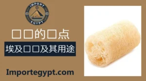 埃及丝瓜络
