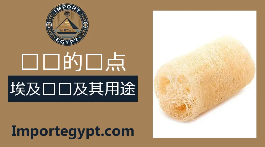 埃及丝瓜络