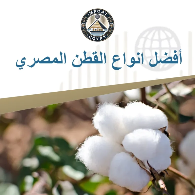 القطن المصري