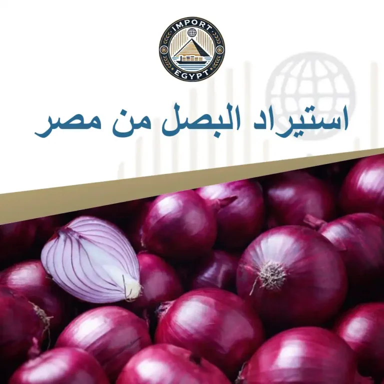 استيراد البصل من مصر