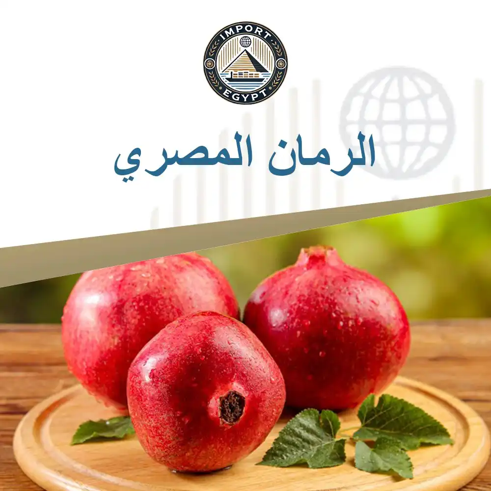 الرمان المصري