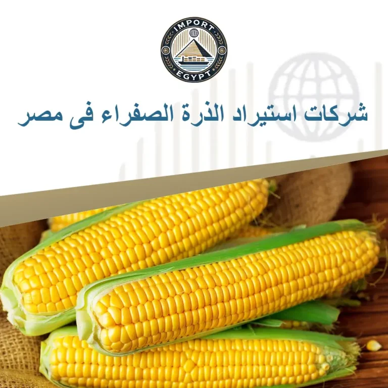 شركات استيراد الذرة الصفراء فى مصر