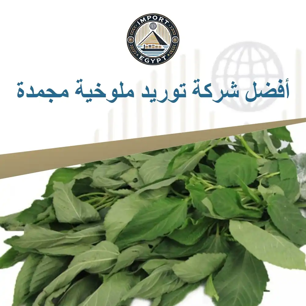 أفضل شركة توريد ملوخية مجمدة