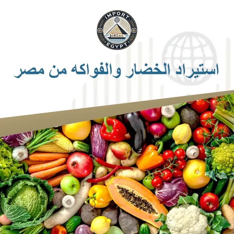 استيراد الخضار والفواكه من مصر