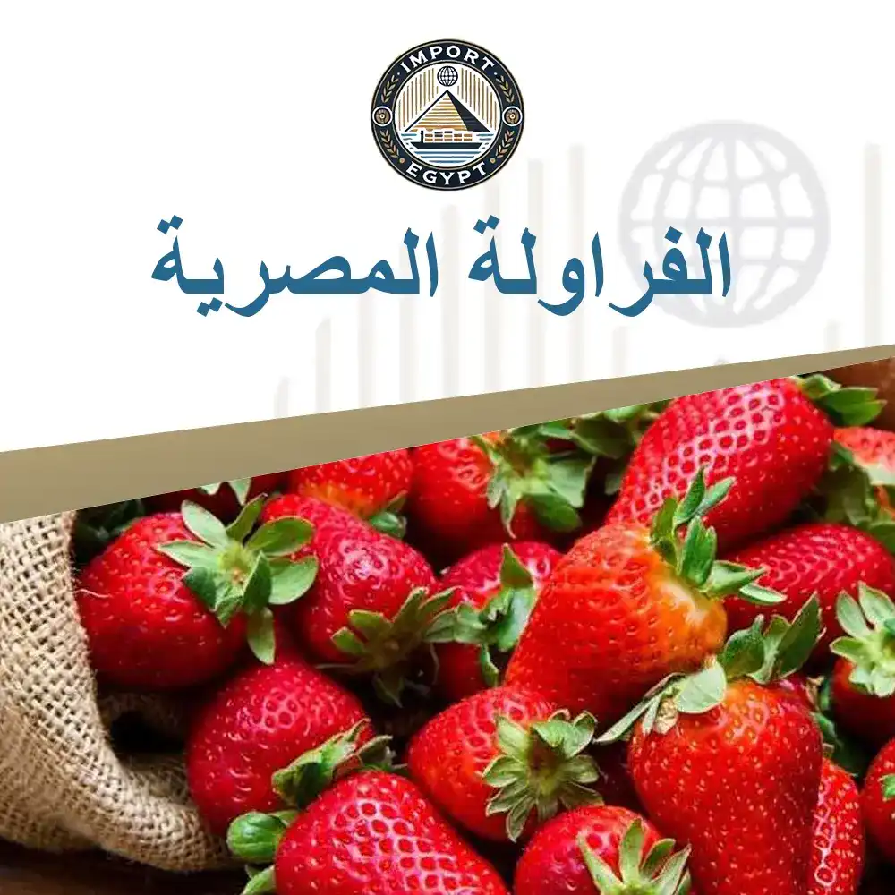 الفراولة المصرية