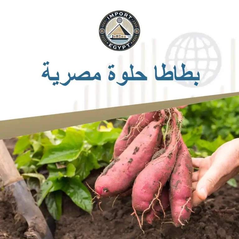 بطاطا حلوة مصرية