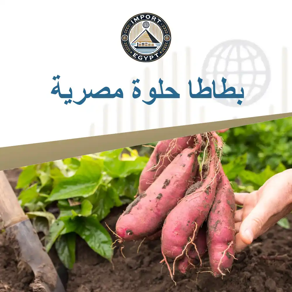 بطاطا حلوة مصرية