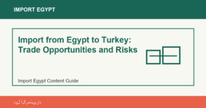 Import from Egypt to Turkey: Trade Opportunities and Risks - Import Egypt