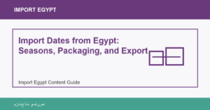 Import Dates from Egypt: Seasons, Packaging, and Export - Import Egypt