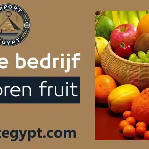 Beste diepvriesfruitbedrijf