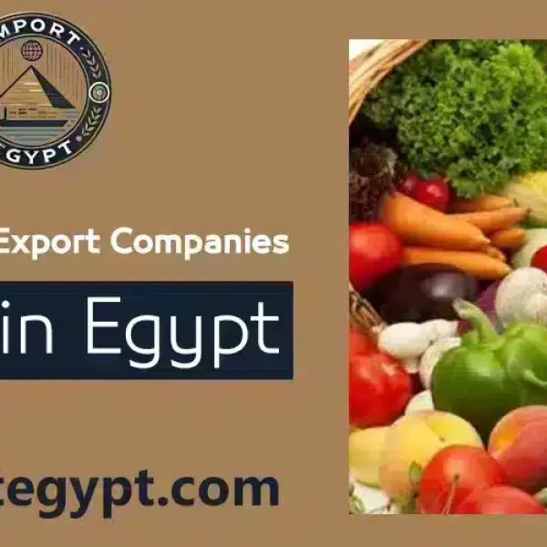 Discover the best vegetable and fruit export companies in Egypt