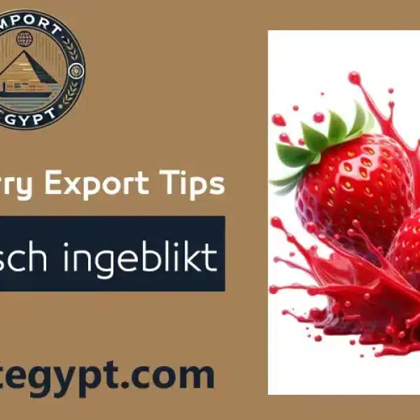 Egyptische exporttips voor Ingeblikte aardbeien