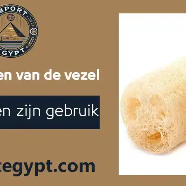 Egyptische vezel