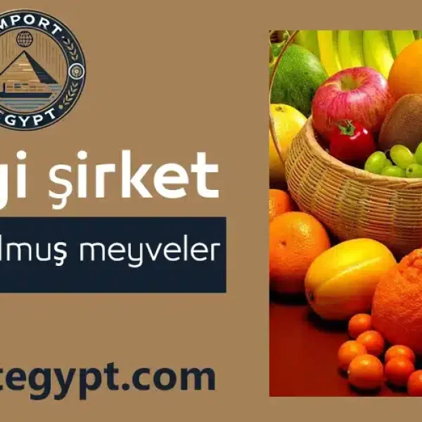 En iyi dondurulmuş meyve şirketi