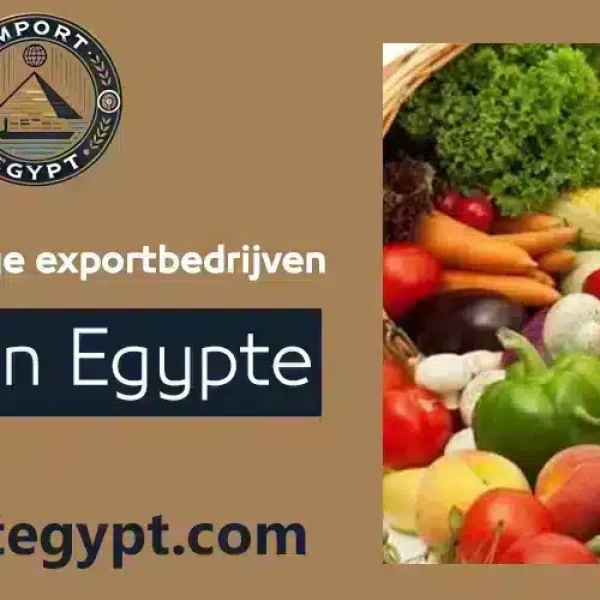 beste groente- en fruitexportbedrijven in Egypte