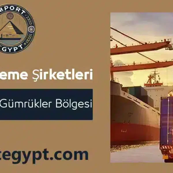 Kahire deki gümrükleme şirketlerinin