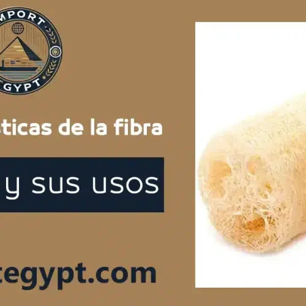 La fibra egipcia