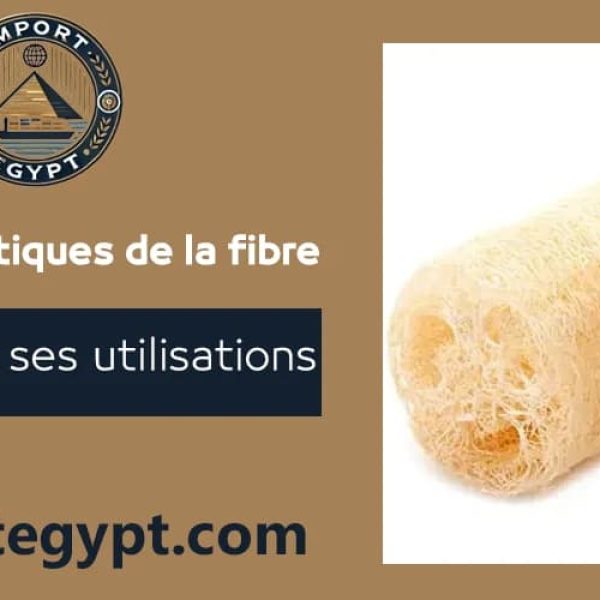 La fibre égyptienne