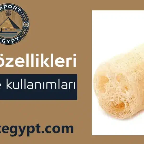 Mısır lifi