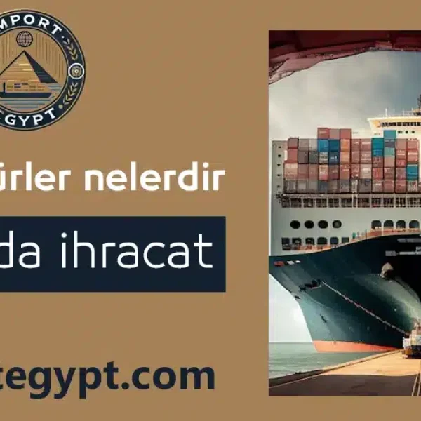 Mısır'da İhracat Prosedürleri