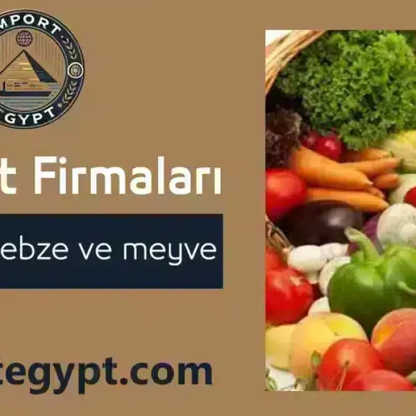 Mısırda sebze ve meyve ihracat şirketleri