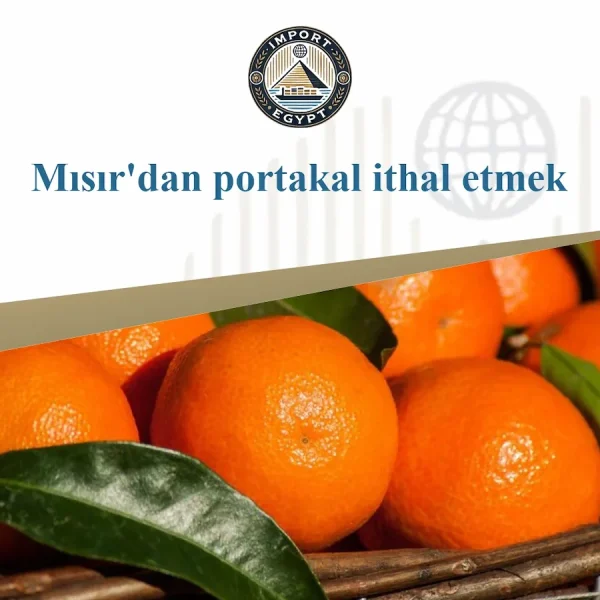 Mısır'dan portakal ithalatı