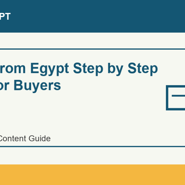 Import from Egypt Step by Step Guide for Buyers - Import Egypt