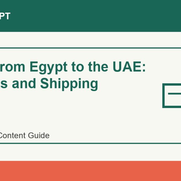 Import from Egypt to the UAE: Products and Shipping - Import Egypt