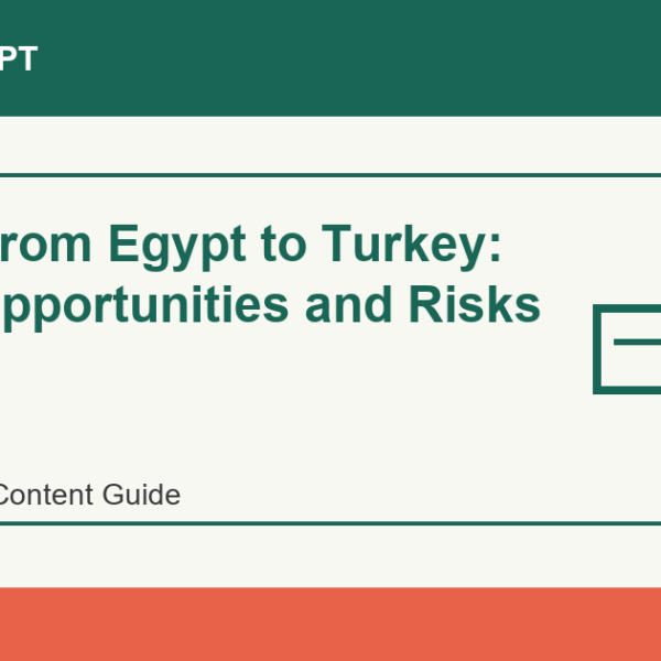 Import from Egypt to Turkey: Trade Opportunities and Risks - Import Egypt