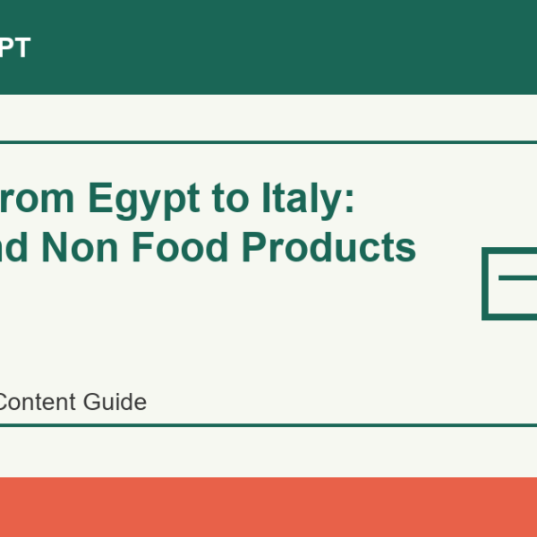 Import from Egypt to Italy: Food and Non Food Products - Import Egypt