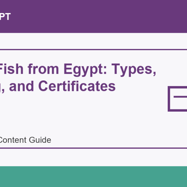 Import Fish from Egypt: Types, Packing, and Certificates - Import Egypt