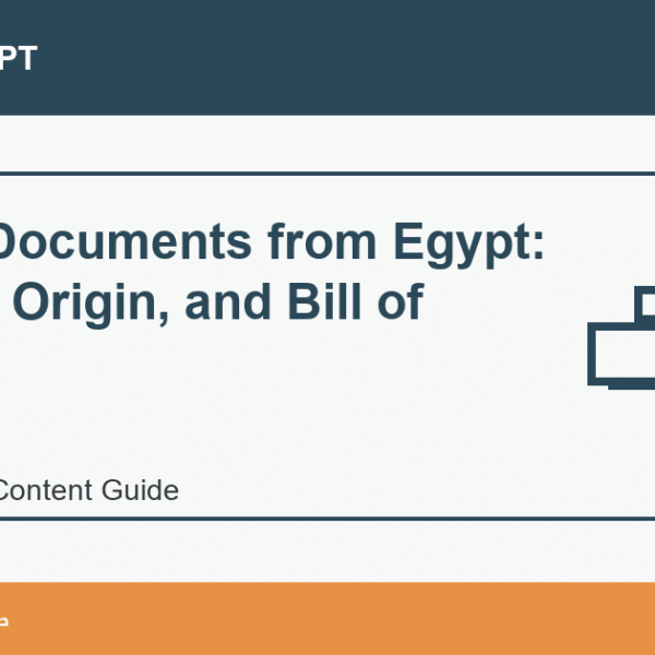 Import Documents from Egypt: Invoice, Origin, and Bill of Lading - Import Egypt