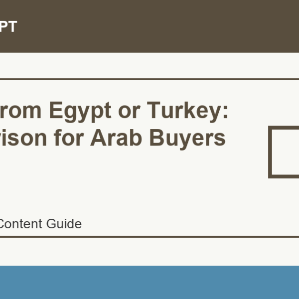 Import from Egypt or Turkey: Comparison for Arab Buyers - Import Egypt