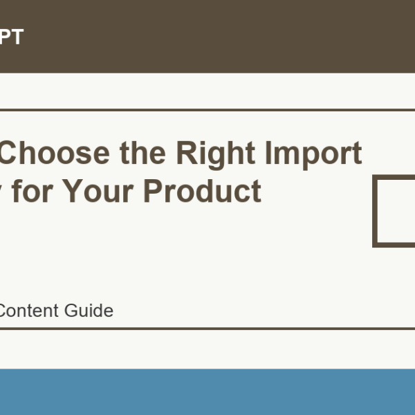 How to Choose the Right Import Country for Your Product - Import Egypt